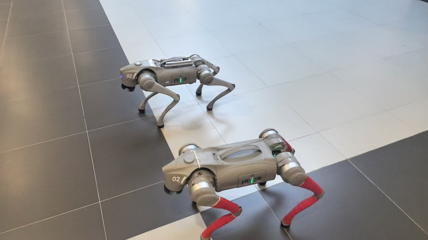 Unitree GO2 Quadruped Robot Development Module Python SDK