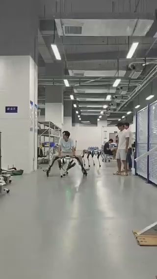 No.2 Robot Dog