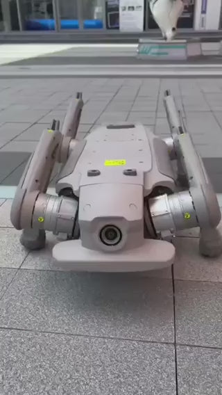 No.1 Robot Dog     (Can be developed again)